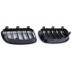 Bazár RACES griglia (Double Bar Performance) per BMW E81 E82 E87 E88 LCI, lucido DANNEGGIATO | race-shop.it