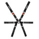 Cinture di sicurezza e accessori FIA 6 point safety belts SPARCO FORMULA H-9 EVO 2026, black | race-shop.it
