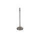 Parti del motore Manley Ford 4.6 Modular Int Valve Kit 34.00mm x 4620 x .2355 | race-shop.it