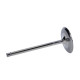 Parti del motore Manley Titanium Series Chevy LS-7 Intake Valve | race-shop.it