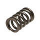 Parti del motore Manley Valve Spring MITSUBISHI 4G63/T | race-shop.it