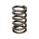 Parti del motore Manley Valve Spring MITSUBISHI 4G63/T | race-shop.it