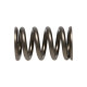 Parti del motore Manley Valve Spring MITSUBISHI 4G63/T | race-shop.it