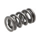 Parti del motore Manley Valve Spring 1.335 DOUBLE | race-shop.it