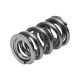 Parti del motore Manley Valve Spring 1425 POLISHED | race-shop.it