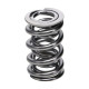 Parti del motore Manley Valve Spring 1425 POLISHED | race-shop.it