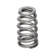 Parti del motore Manley Valve Spring 1.311 SINGLE | race-shop.it