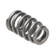 Parti del motore Manley Valve Spring 1.311 SINGLE | race-shop.it