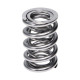 Parti del motore Manley Valve Spring 1.560 DOUBLE | race-shop.it