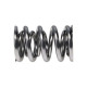 Parti del motore Manley Valve Spring 1.620 DOUBLE | race-shop.it