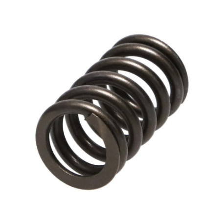 Parti del motore Manley Valve Spring HONDA K20A3/K24A | race-shop.it