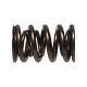 Parti del motore MANLEY molle valvole (doppie), 41,91 mm, 16 pz | race-shop.it