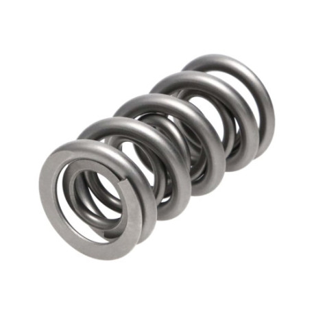 Parti del motore Manley Valve Spring 1.500 DOUBLE | race-shop.it