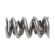 Parti del motore Manley Valve Spring 1.500 DOUBLE | race-shop.it