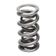 Parti del motore Manley Valve Spring 1.500 DOUBLE | race-shop.it