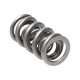 Parti del motore Manley Valve Spring 1.500 DOUBLE | race-shop.it