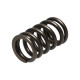 Parti del motore Manley Valve Spring NISSAN SR20DE/SR20DET | race-shop.it