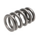 Parti del motore Manley Valve Spring SUBARU WRX | race-shop.it