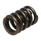 Parti del motore Manley Valve Spring 1.550 SINGLE | race-shop.it