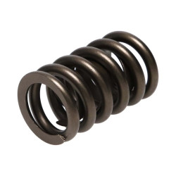 Manley Valve Spring 1.250 SINGLE