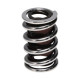 Parti del motore Manley Valve Spring 1.550 CHR SIL | race-shop.it