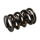 Parti del motore Manley Valve Spring Kit NexTek Spring | race-shop.it