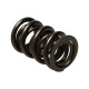 Parti del motore Manley Valve Spring Kit NexTek Spring | race-shop.it