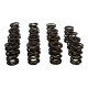 Parti del motore MANLEY kit molle valvole (NexTek), V3 | race-shop.it