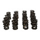 Parti del motore MANLEY kit molle valvole (NexTek), V3 | race-shop.it