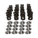 Parti del motore MANLEY kit molle valvole (NexTek), V3 | race-shop.it