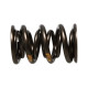 Parti del motore Manley Valve Spring Kit NexTek Spring | race-shop.it