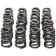 Parti del motore Manley Valve Spring/Retainer Kit Subaru WRX/STI | race-shop.it