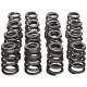 Parti del motore Manley Valve Spring/Retainer Kit Subaru WRX/STI | race-shop.it