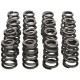 Parti del motore Manley Valve Spring/Retainer Kit Subaru WRX/STI | race-shop.it
