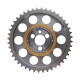Parti del motore Manley Timing Chain Kit SBC BILLET W/SHIM | race-shop.it