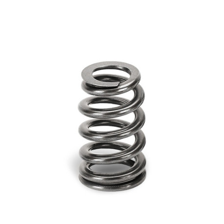 Parti del motore SUPERTECH Valve Spring Kit BMW S65 | race-shop.it