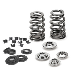 SUPERTECH Valve Spring Kit Ford 2.5 RS / Volvo B5254T4