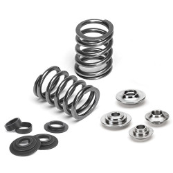 SUPERTECH Valve Spring Kit Toyota 1ZZ/2AZ Single