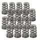 Parti del motore SUPERTECH Valve Spring Set Toy 1JZ/2JZ | race-shop.it