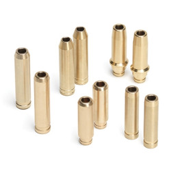 SUPERTECH Valve Guide Kit Intake & Exhaust Valve Ecotec 6mm