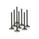 Parti del motore SUPERTECH Valve Kit Exhaust Ford 2.5 RS/B5254T4 28.00mm Inco | race-shop.it