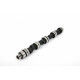 Parti del motore Piper Camshaft Ford 1.3/1.6L CVH XR2/XR3i/RS Turbo Rally | race-shop.it