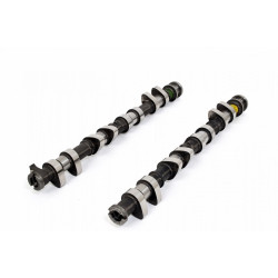 PIPER CAMS albero a camme per Ford 1.8/2.0/2.3L 16v Duratec, Race BP320