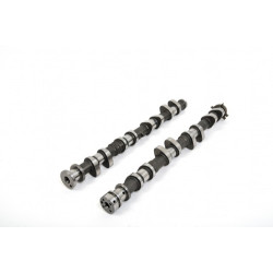 Piper Camshaft Ford 2.0/2.5L 16v Duratec VVT Fast Road