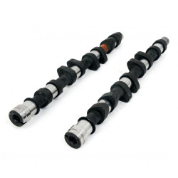 PIPER CAMS albero a camme per Peugeot/Citroën 2.0L 16v EW10J4 (punterie meccaniche), Rally BP300