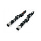 Parti del motore Piper Camshaft Peugeot/Citroen 2.0L 16v XU10J4RS Ult. Road | race-shop.it