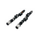 Parti del motore PIPER CAMS albero a camme per Peugeot/Citroën 2.0L 16v XU10J4RS (punterie meccaniche), Race BP320 | race-shop.it