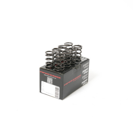 Parti del motore PIPER CAMS molle valvole per Opel C12/C13/C14/C16 GSi (singole) | race-shop.it