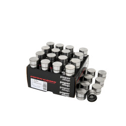 PIPER CAMS punterie per Rover KV6 2.5L V6
