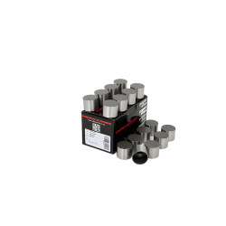 PIPER CAMS punterie per Peugeot/Citroën 1.9L 16v XU9J4 (meccaniche)